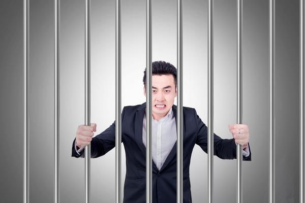 无偿领养宠物貂狗是否犯法？ 图2