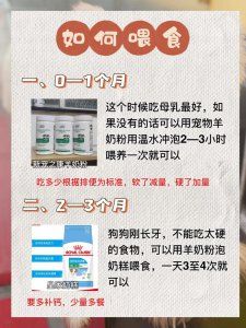 狗狗打疫苗前可以洗澡吗 狗狗打疫苗前后要注意什么