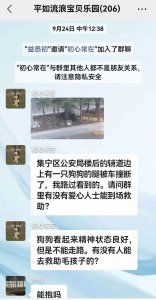狗狗趴在路边一动不动 刚走近就闻到恶臭 原来它……