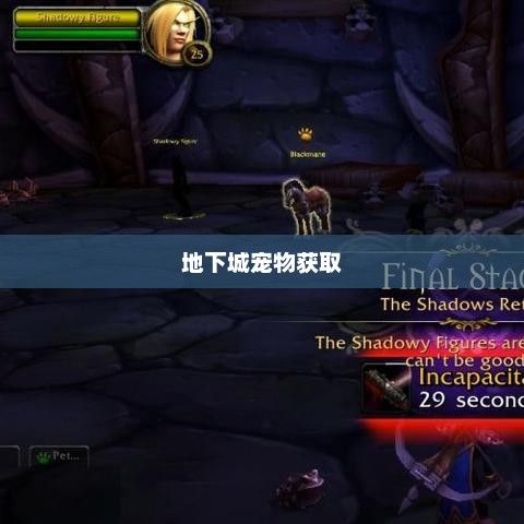 地下城宠物获取攻略，深度解析宠物获取途径与策略地下城宠物怎么获得?