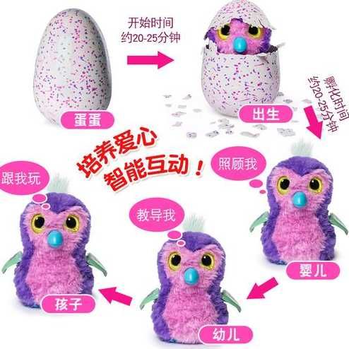 阴阳师宠物玩具在哪购买？如何选择合适的玩具？-第1张图片