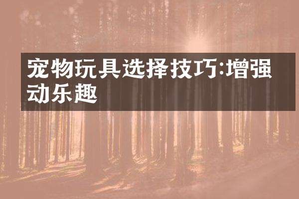 宠物玩具选择技巧:增强互动乐趣
