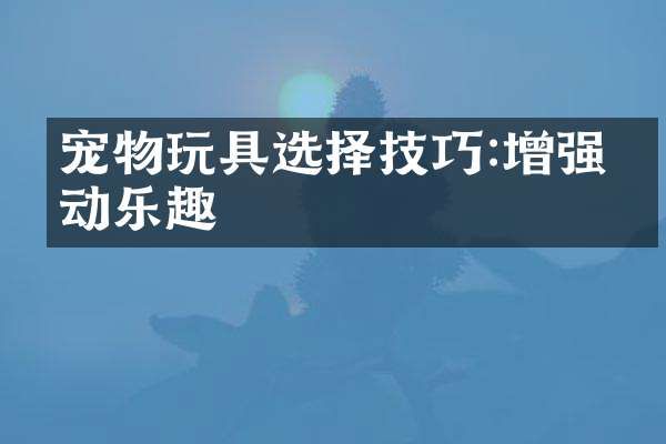 宠物玩具选择技巧:增强互动乐趣