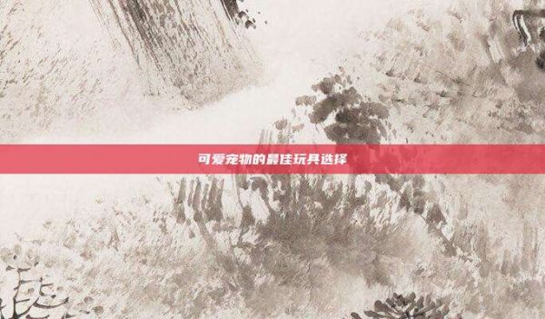 可爱宠物的最佳玩具选择