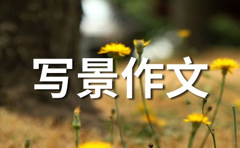 电子宠物历险记