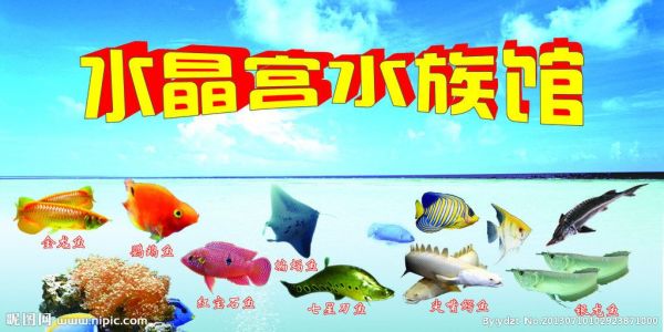 水族馆鱼类介绍大全（水族馆中的鱼类繁殖技术和水族馆鱼类繁殖技术介绍） 水族馆百科（水族馆加盟） 第1张