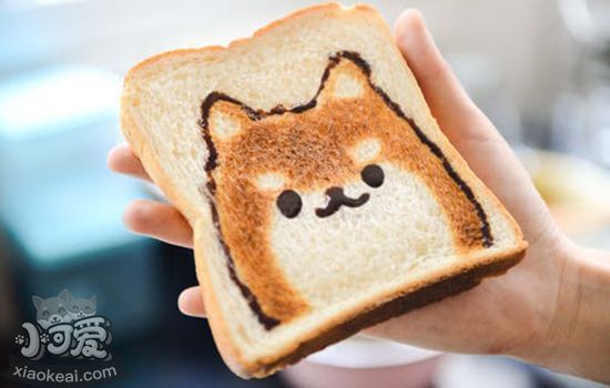 狗狗可以吃包菜吗？