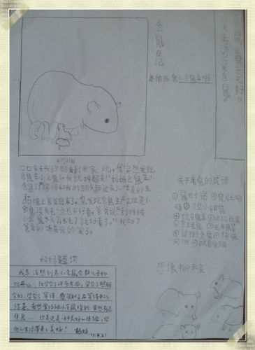 这是儿子做的关于小仓鼠的手抄报爱生活爱仓鼠