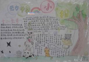 关于动物的生殖和发育手抄报 党的生日手抄报
