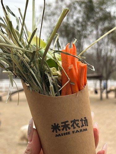 冬天的米禾农场可以劝退了