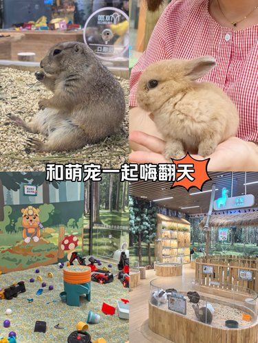 哇哇哇，这也太震撼啦 把动物园搬到了商场里