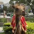 https://p0.meituan.net/userheadpicbackend/db20f444f8f52b571df1f4865d02eb331249440.jpg%40120w_120h_1e_1c_1l%7Cwatermark%3D0