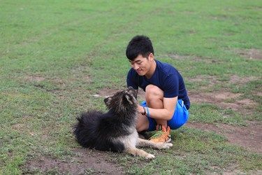 和狗狗一起……