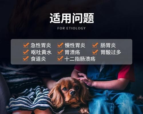 如何调理肠胃问题的狗狗（原因和调理方法一览）