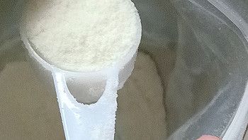 宠物羊奶粉，补充营养