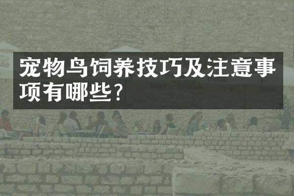 宠物鸟饲养技巧及注意事项有哪些？