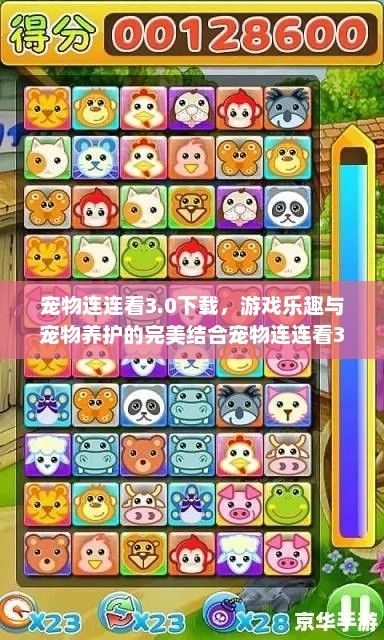 宠物连连看3.0下载，游戏乐趣与宠物养护的完美结合宠物连连看3.1原版下载