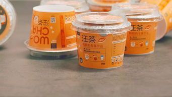 宠物食品：干粮、湿粮大不同，健康饮食选对粮