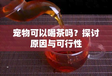 宠物可以喝茶吗？探讨原因与可行性