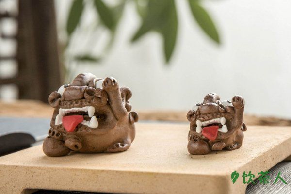 茶宠是什么东西，茶水滋养的宠物(养茶宠的忌讳)