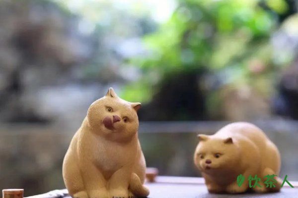 茶宠是什么东西，茶水滋养的宠物(养茶宠的忌讳)