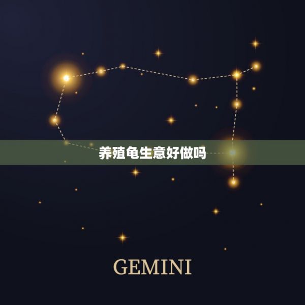 养殖龟生意好做吗，做生意店内养小乌龟好不好 第1张