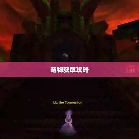 地下城与勇士，宠物获取攻略详解地下城与勇士宠物怎么得到