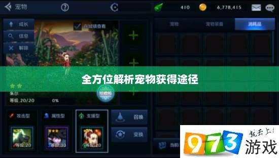 DNF宠物获取攻略，全方位解析宠物获得途径dnf宠物怎么得到宠物