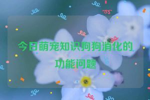 今日萌宠知识狗狗消化的功能问题