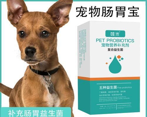 狗狗吃益生菌的好处（促进消化系统健康，增强免疫力）