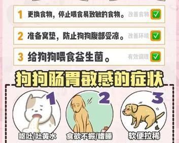 狗狗吃益生菌的好处（促进消化系统健康，增强免疫力）