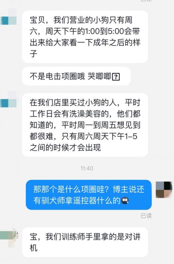 宠物店被指给迎宾犬戴电击项圈 引发网友愤怒质疑