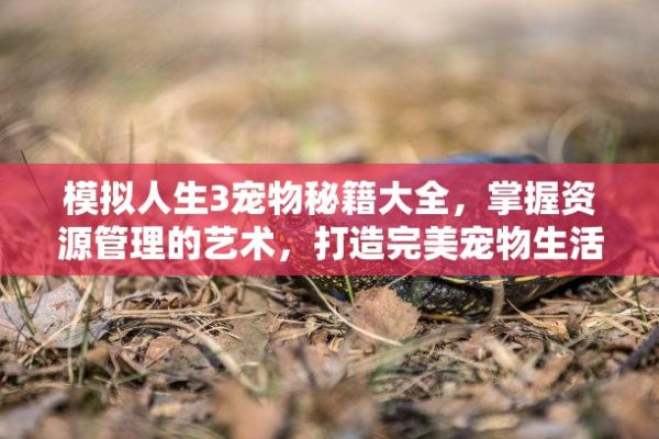 模拟人生3宠物秘籍大全，掌握资源管理的艺术，打造完美宠物生活