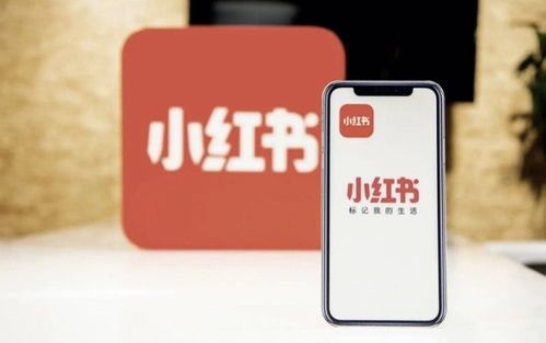“宠物养护达人,等你来养宠”