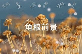 2025年龟粮发展前景 趋势预测