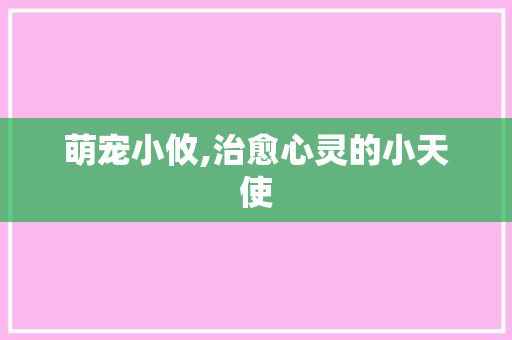 萌宠小攸,治愈心灵的小天使