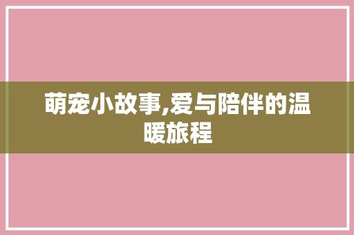 萌宠小故事,爱与陪伴的温暖旅程