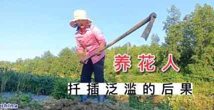 黑色玉米蛇：一种罕见的变异物种？