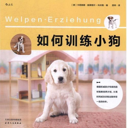 狗狗吃什么书籍设计