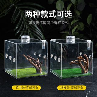 宠物蜘蛛昆虫亚克力饲养盒螳螂蝈蝈迷你爬虫生态盒玲跳蜘鸣虫盒子