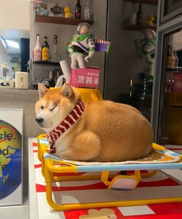 你以为我睡了吗？ 