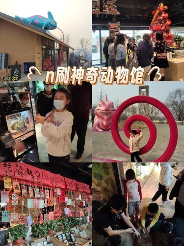 N刷神奇动物馆