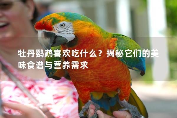 牡丹鹦鹉喜欢吃什么？揭秘它们的美味食谱与营养需求