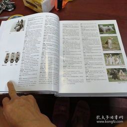 皇家宠物必备清单,养宠达人必看!