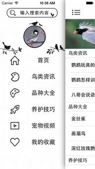 皇家宠物必备清单,养宠达人必看!