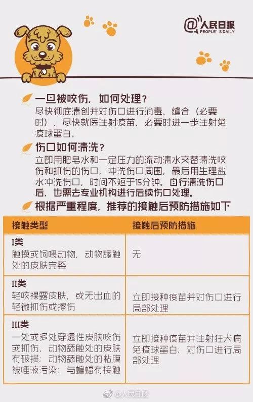 宠物必备疫苗清单，守护健康成长。