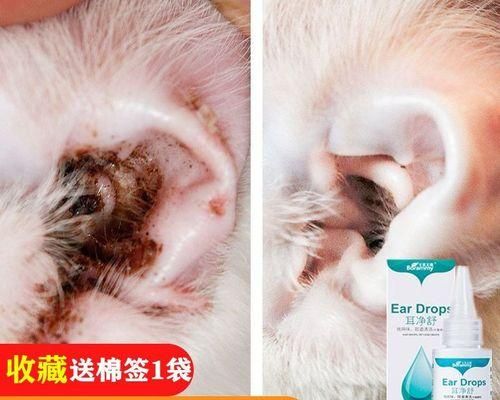 宠物必备药品清单，关爱宠物健康（以狗狗常见备用药物表为依据，一份详细的宠物药品指南）