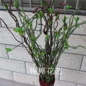 养花风水:花盆风水摆放有讲究 窗台放花盆有讲究吗