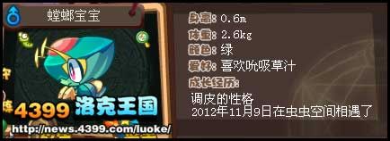 洛克王国虫虫空间挑战 虫虫空间考验怎么过