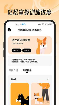 宠物训练攻略:123教程,轻松养宠达人!